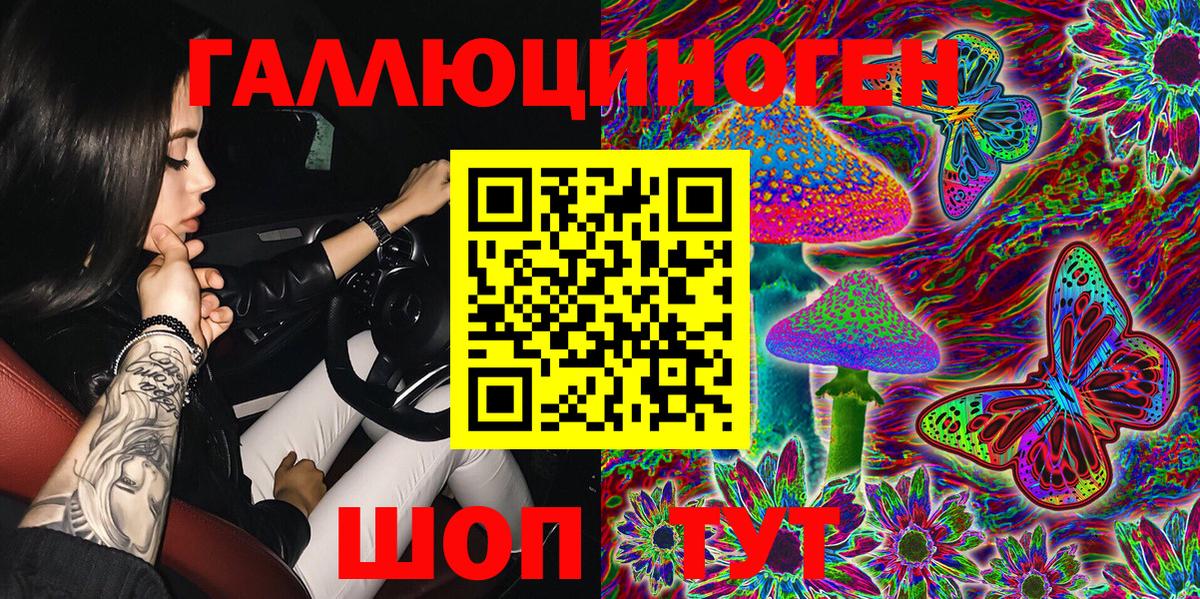 Галлюциногенные грибы Psilocybe Норильск